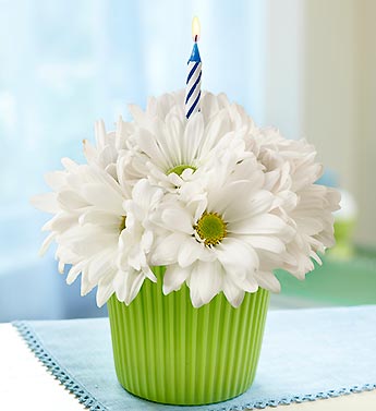 Bloomin' Cupcake� Daisy