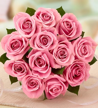 June's Rose