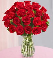 Festive Red Roses - Two Dozen