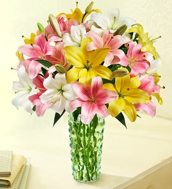 Spring Lilies, Over 50 Blooms