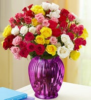 Spray Roses, 50-100 Blooms