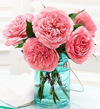 English Country Garden Roses