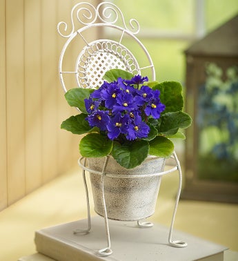 Lovely Chair of Blooms