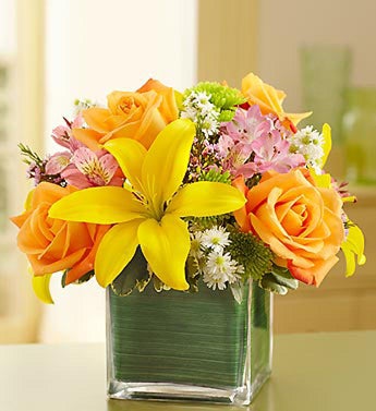 Fields of Europe? in Cube Vase