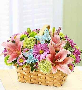 Basket of Inspiration