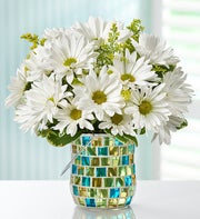 Daisy Garden?