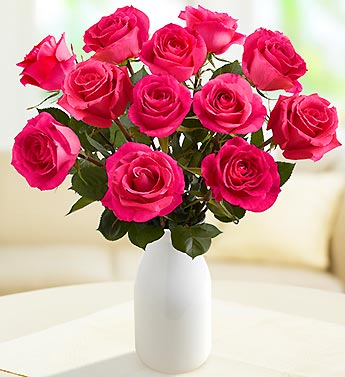 Hot Lady Roses