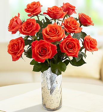 Cayenne Roses