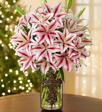 Candy Cane Lilies in Cross Vase
