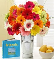 Gerbera Daisies with Celebrating Friends Book