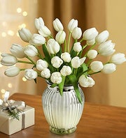 Winter White Tulips, 15-30 Stems