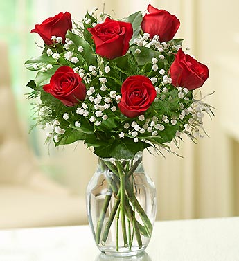 Love's Embrace? Roses