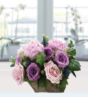 Shades of Pink