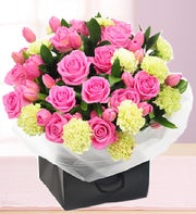 Cherub Pink