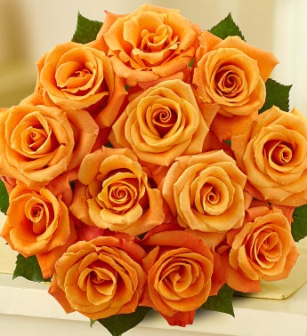 November's Rose