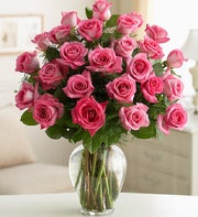 Pink Roses