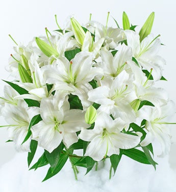 White Lily Bouquet for Sympathy