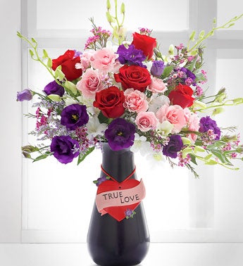 red and pink roses