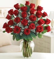 Sympathy Roses