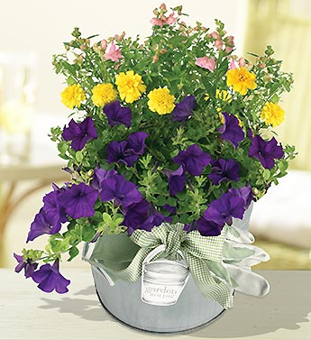 mixed arrangement in pail with gardening gloves