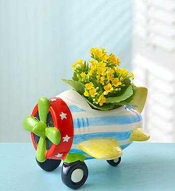 Baby Plane