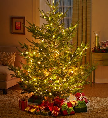Large Holiday Tree