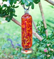 Hummingbird Feeder?Cinnabar