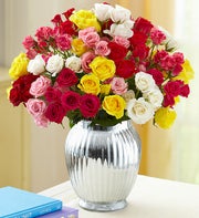 Spray Roses, 50- 100 Blooms