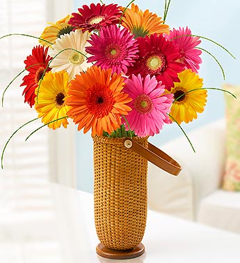 زهور وورود Flowers roses