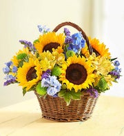 Fields of Europe? for Summer Basket