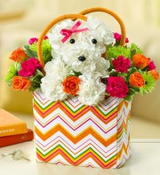 a-DOG-able? in a Tote