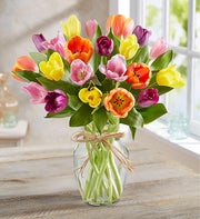 Timeless Tulips�