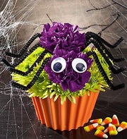 Cupcake in Bloom® - Spider 