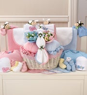 Pink & Blue Twin Newborn Gift Basket