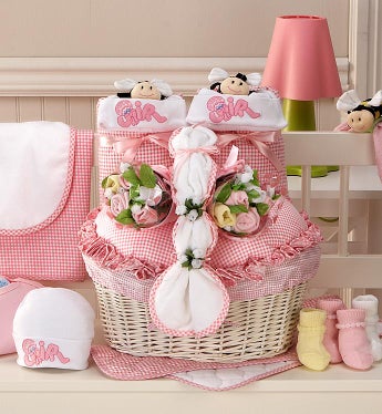 Gifts  Newborn Girl on New Twin Girl Newborn Gift Basket