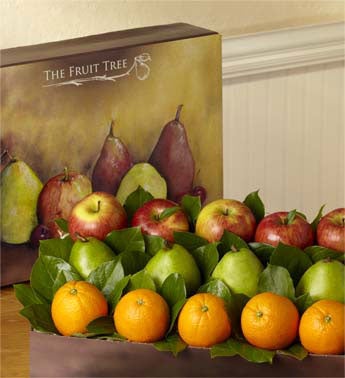 Fresh Fruit Box - 1800baskets.com