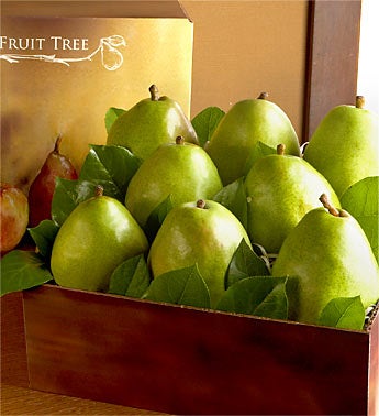 Succulent Comice Pears Grande Fruit Gift Basket