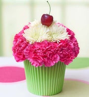 Cupcake in Bloom�
