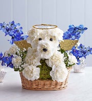 All Dogs go to Heaven?