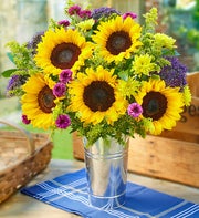 A Ray of Sunshine?