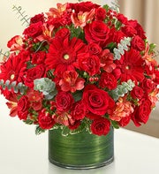 Cherished Memories - All Red