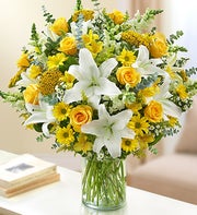 Ultimate Elegance? - Yellow and White