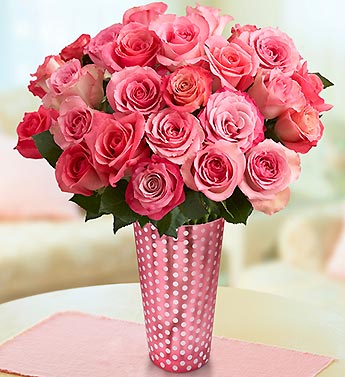 Raspberry Sorbet Roses, 12-24 Stems