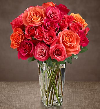 زهور وورود Flowers roses