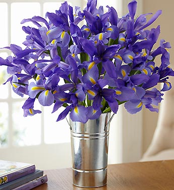 Spring Country Iris Bouquet, 20 Stems