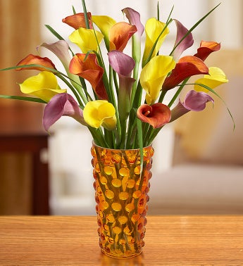Autumn Elegance Calla Lilies