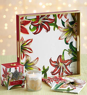 Amaryllis Tray and Cocktail Napkin Set