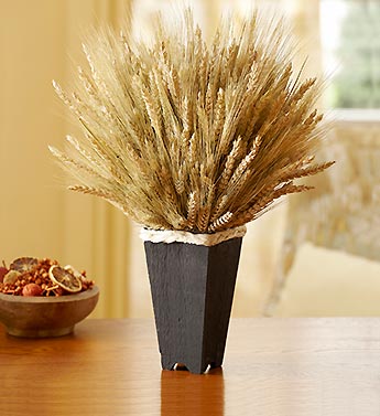 Elegant Wheat Container
