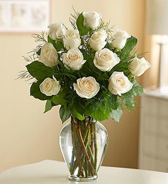 12 White Long Stem Roses
