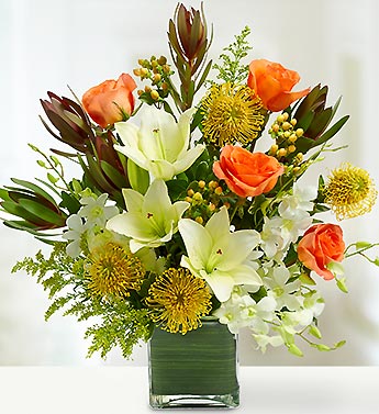 Tropical Arrangement